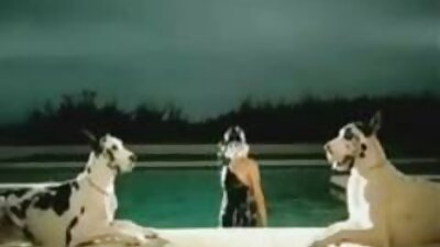 الملاعين وقحة مسلسل سكس رومانسي لاتينا مثل آلة